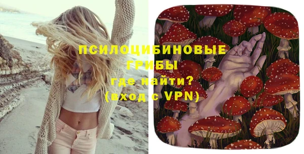 гидра Зеленодольск