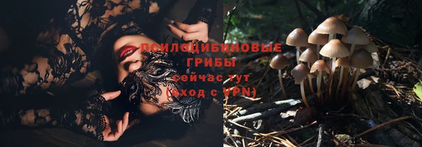 твердый Зерноград